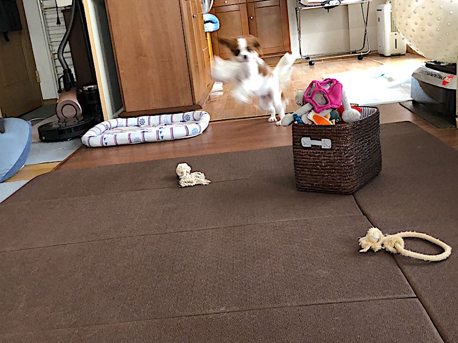 rblog-20181016090214-06.jpg