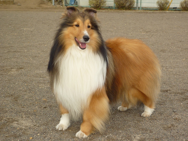 P1010792 - コピー.JPG