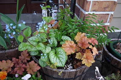 P1000233.jpg