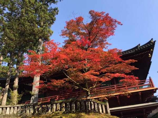 rblog-20151024235307-02.jpg