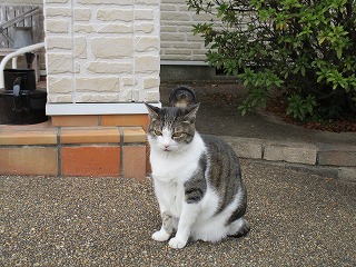 IMG_1553ss.jpg