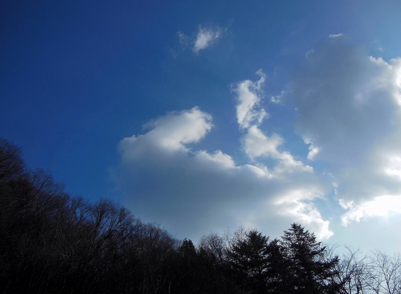 空 3.JPG