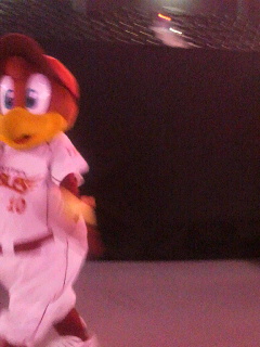 2012112708130000.jpg