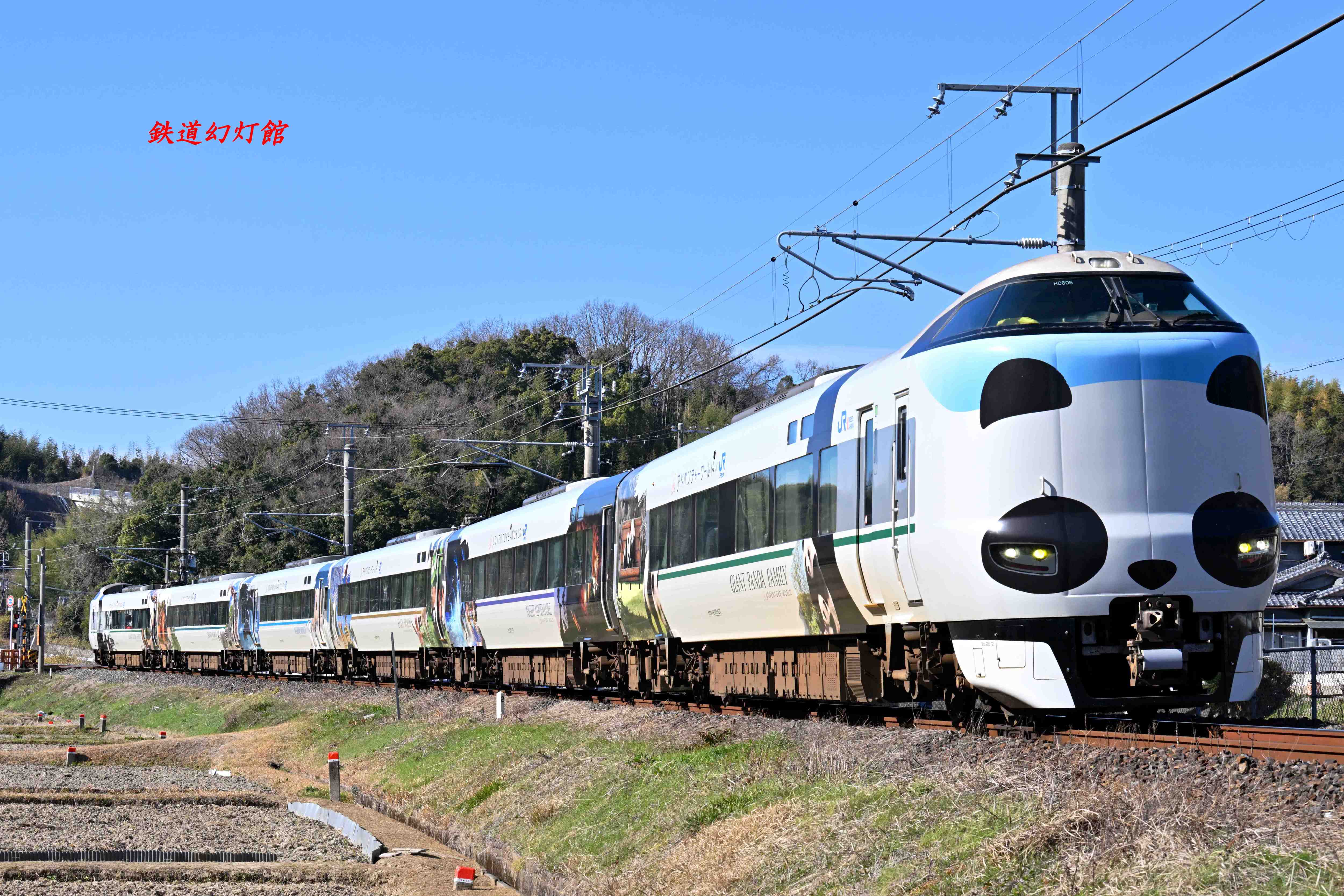 287系特急パンダくろしお | ブログ「鉄道幻灯館」 - 楽天ブログ