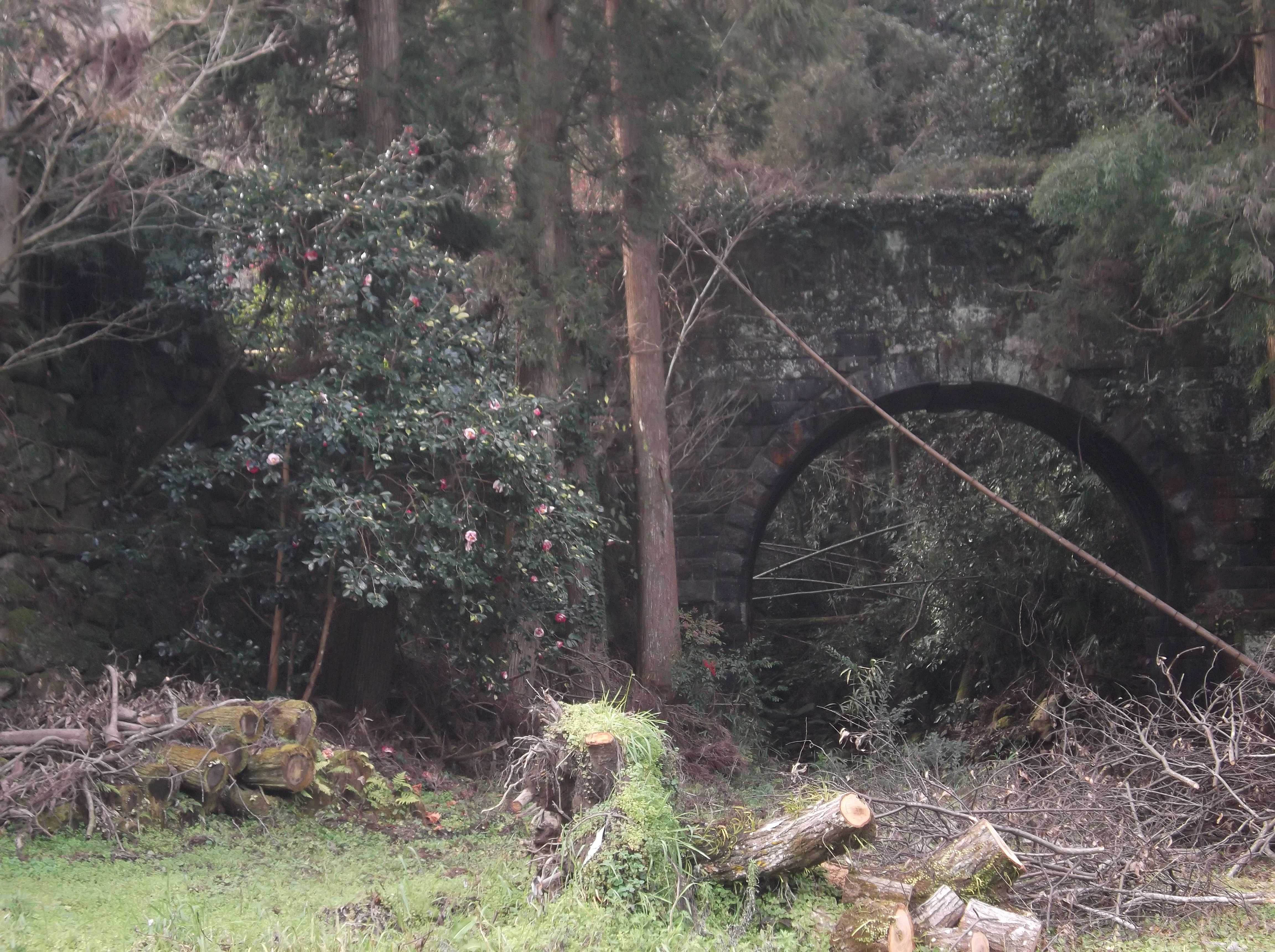 筑後軌道 ちくごきどう 福岡県久留米市と大分県日田市を結んでいた軌道線 Qミん君の日本史の森 楽天ブログ