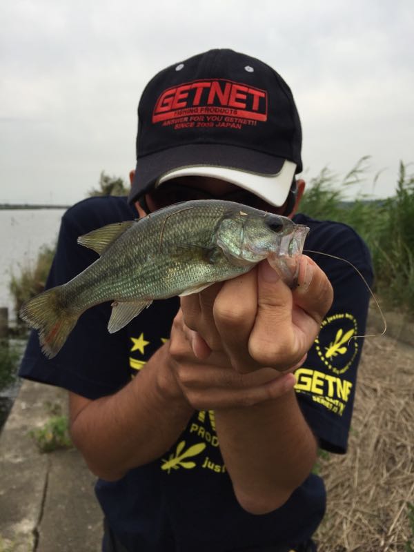rblog-20150924205624-04.jpg