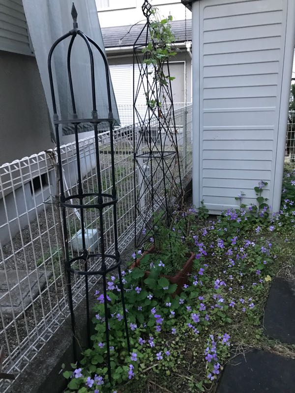 rblog-20180328191942-03.jpg
