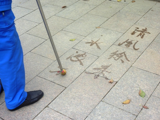 P1030361酔白池５.JPG