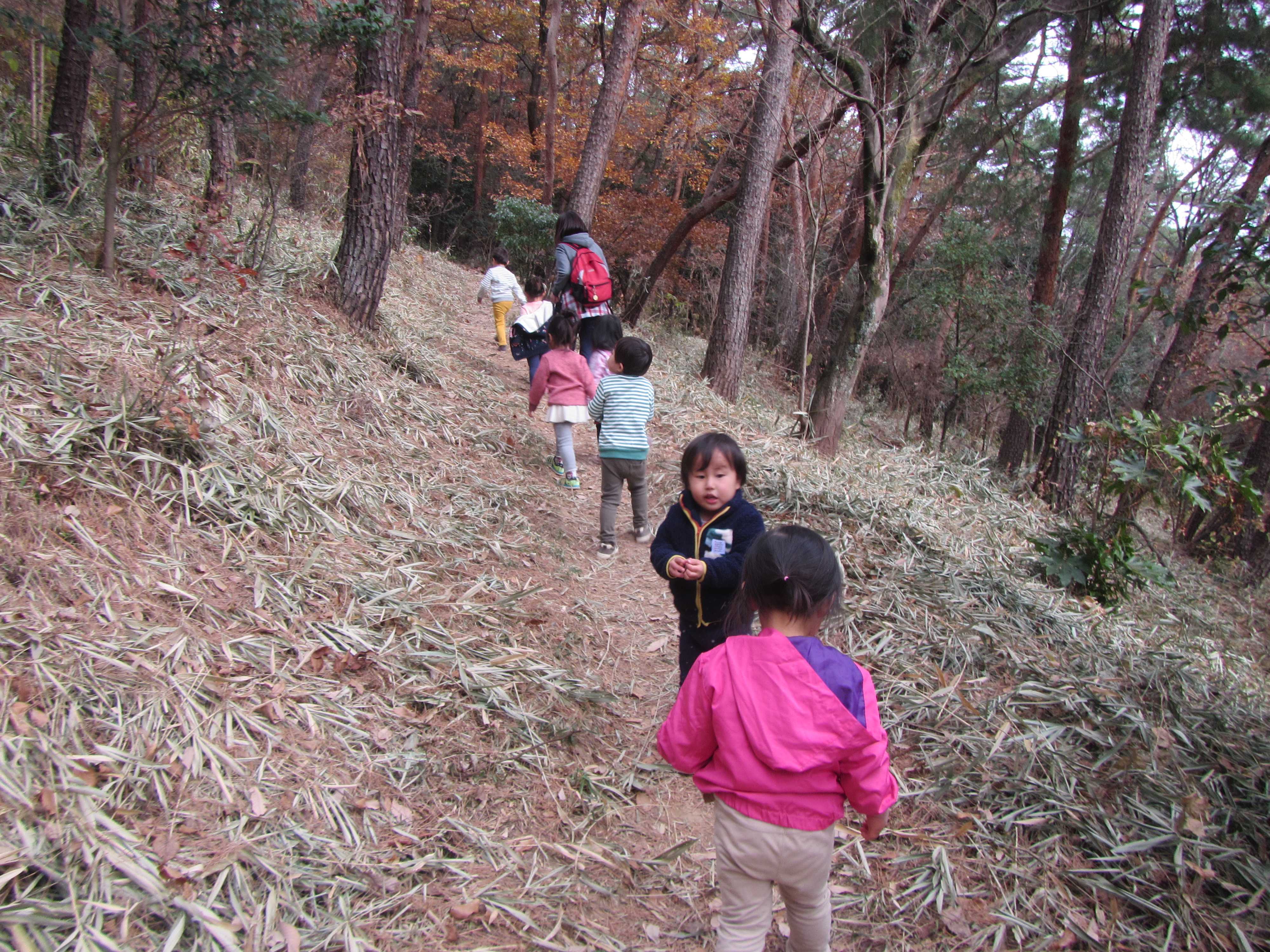 金山登山 | 認定こども園 アプリコット保育園 - 楽天ブログ