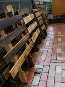 10-10fuyugakoi (1).JPG