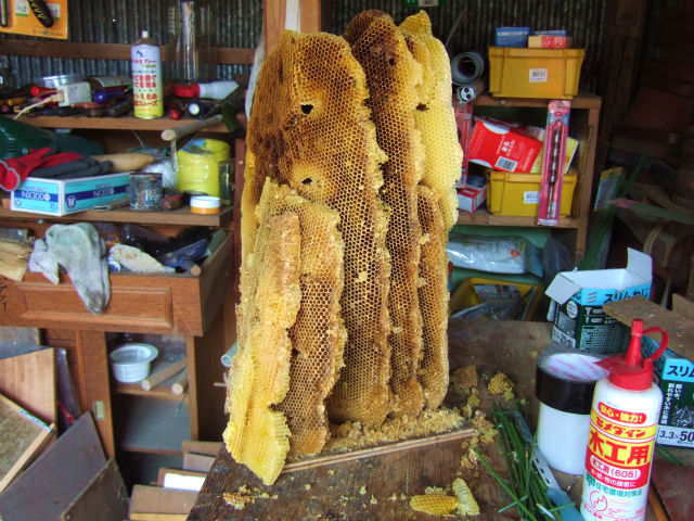 逃避？