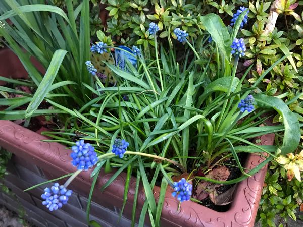 rblog-20180328191849-07.jpg