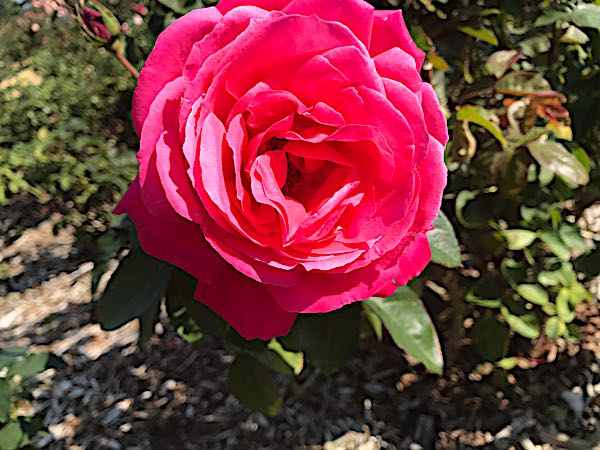 rblog-20171027222105-02.jpg