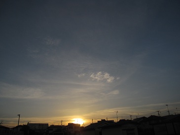 IMG_8991.JPG