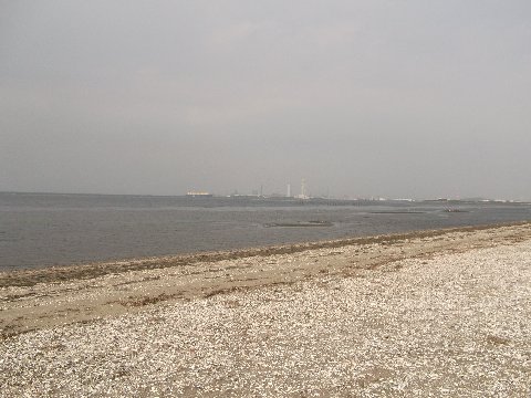 富津岬砂浜2.jpg