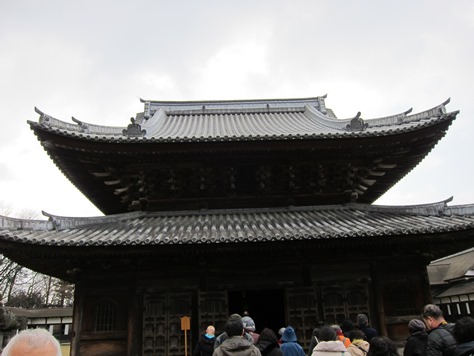 IMG_5216.JPG