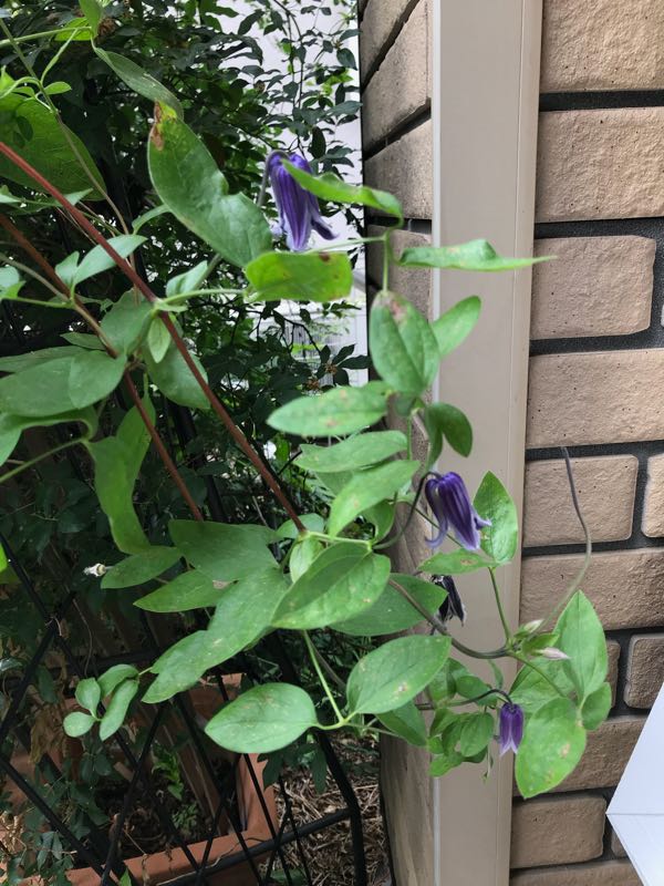 rblog-20180531150201-01.jpg