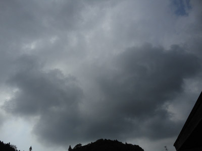 DSC01394-.jpg