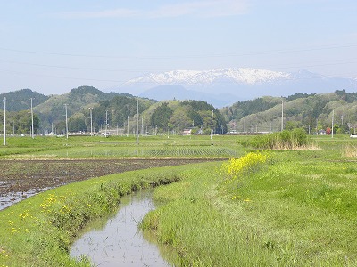DSCN8653.jpg