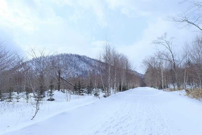 4ページ目の記事一覧 山歩きは好歩 スキップ して四季折々 登山日和のｆｏｏｔｍａｒｋ 楽天ブログ