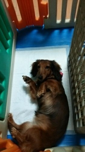 rblog-20180305102624-00.jpg