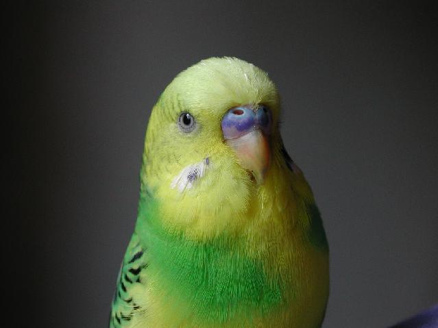 DSCN4156.jpg