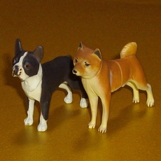 画像はイメージです