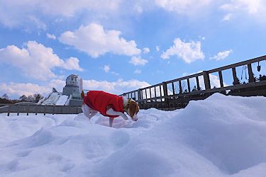 20160209富士山レーダードーム