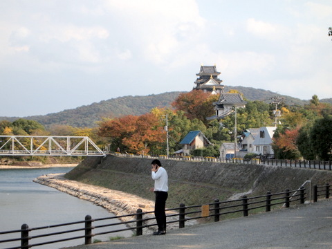 朝日側から見た城