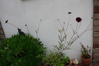 P1320240ss.jpg