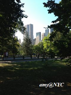 centralpark.jpeg