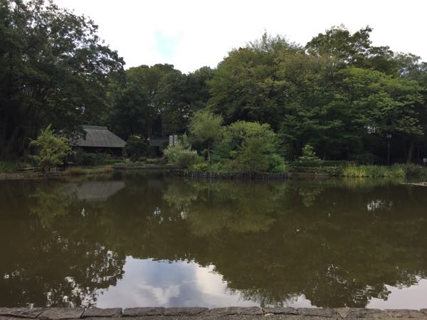 rblog-20180907074759-02.jpg