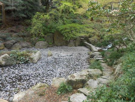 浜松城公園