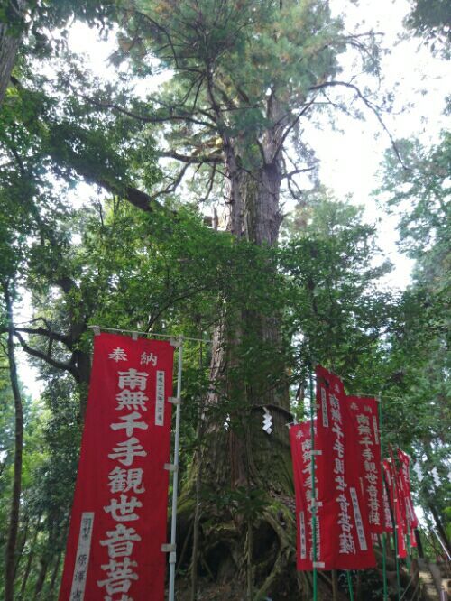 rblog-20170124232012-04.jpg