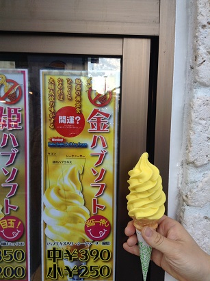 2015.05.17　那覇市　金ﾊﾌﾞｿﾌﾄ