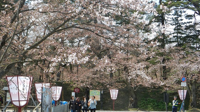 DSCN3043.jpg