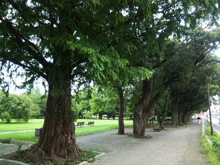 各務原市民公園