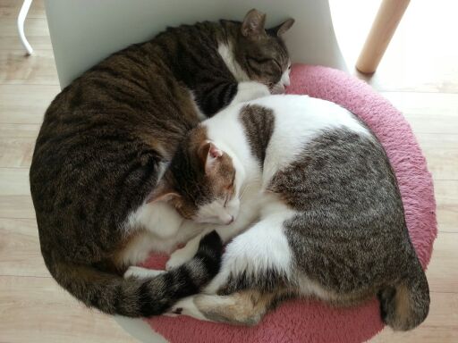 rblog-20140619121118-01.jpg