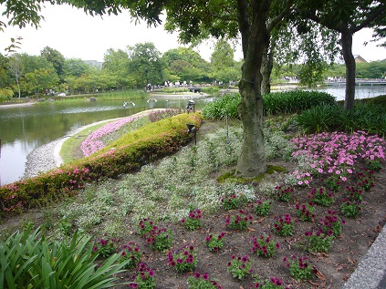 P1080416.JPG