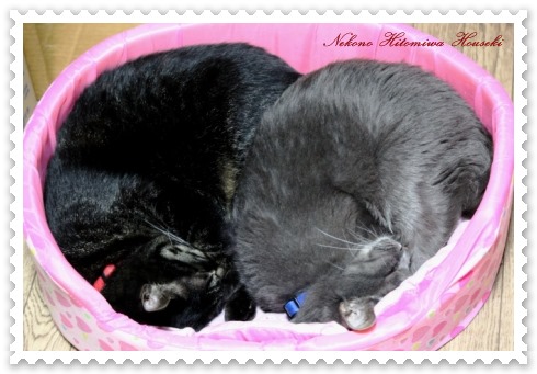 水月 ＆ 楓 13.10.17-2