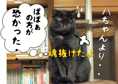 魂.JPG