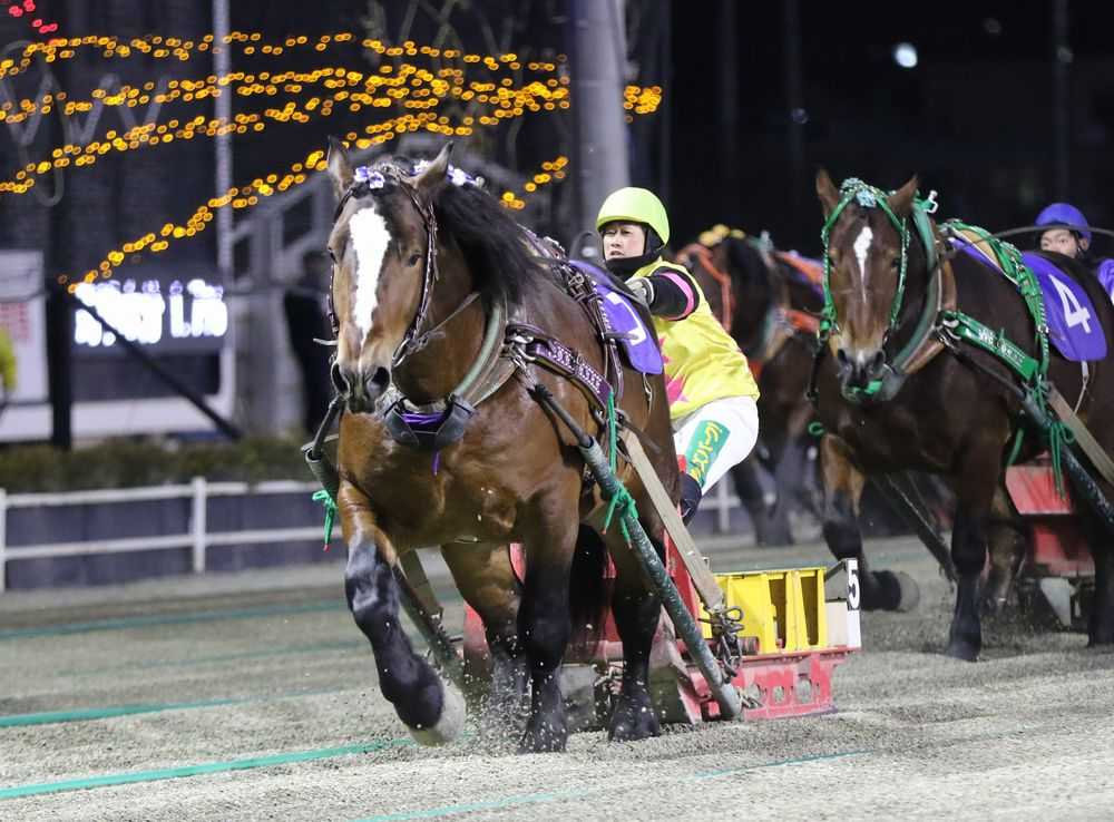 タカラキングダムがドリームエイジカップを制し重賞連勝！ | ばんブロ