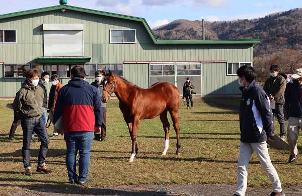 古谷 剛彦 の記事一覧 地方競馬の楽天競馬 日替わりライターブログ 楽天ブログ