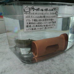 05042.jpg