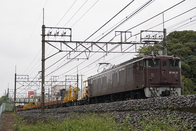 EF64 37牽引 松本ロングチキ工臨4