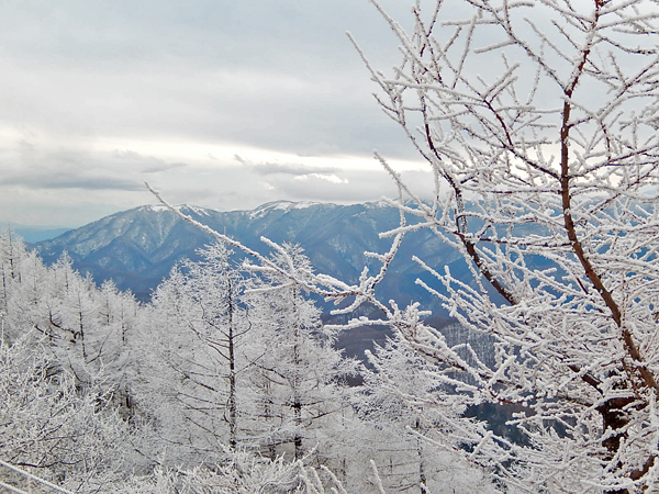 樹氷３