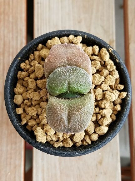 rblog-20180720113956-08.jpg