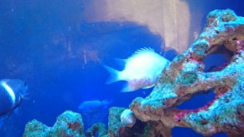 rblog-20170623163422-03.jpg