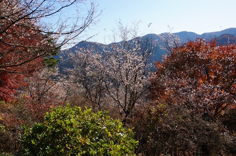 DSC07606.JPG