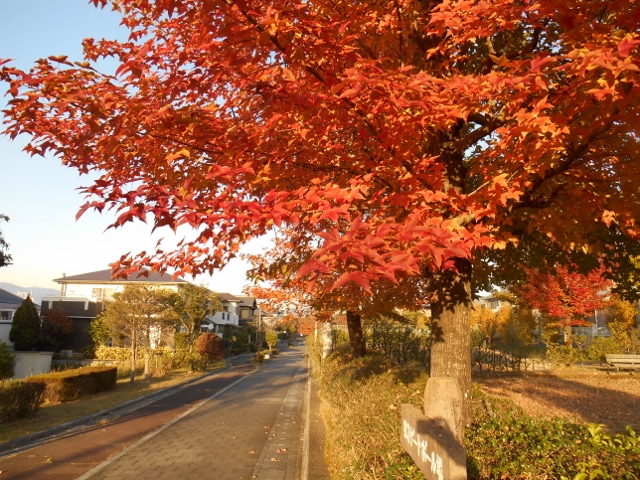006 (640x480).jpg